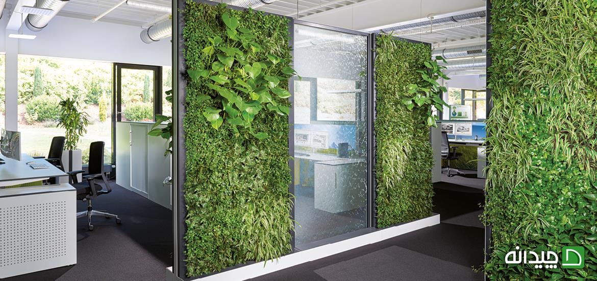 Chidaneh.com placeholder image