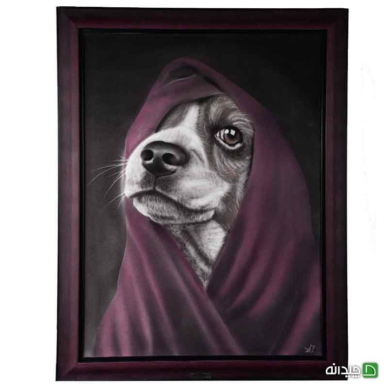 Chidaneh.com placeholder image