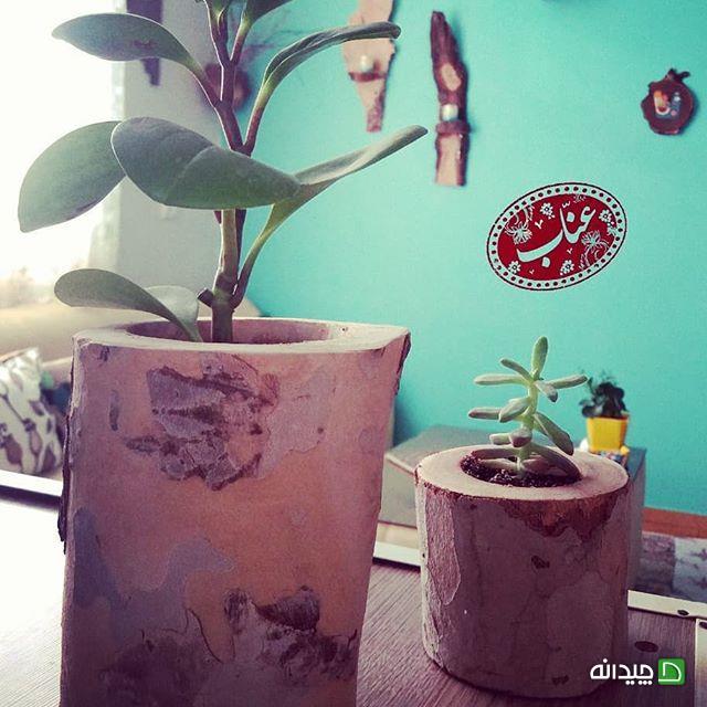 Chidaneh.com placeholder image