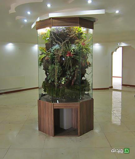 Chidaneh.com placeholder image