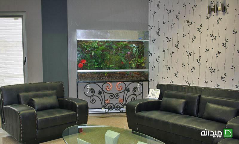 Chidaneh.com placeholder image