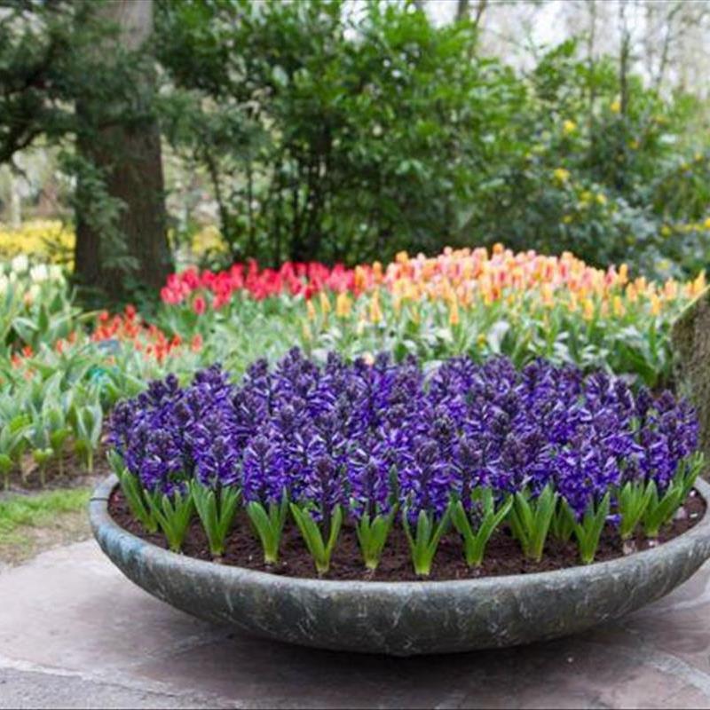 تزیین حیاط خانه با گلدان، 14 پیشنهاد بهاری!