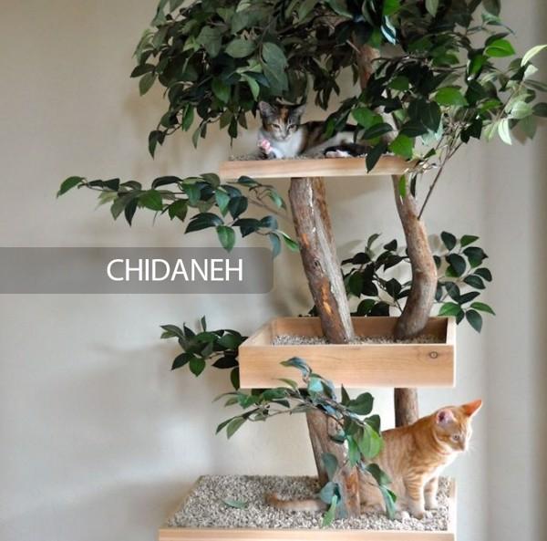 درخت گربه چیست؟ آشنایی با انواع اسکرچر گربه و روش ساخت آن